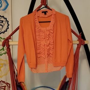 J crew Sweater Cardigan